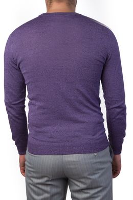 Джемпер мужской,фиолетовый (9033/700), XL (54)