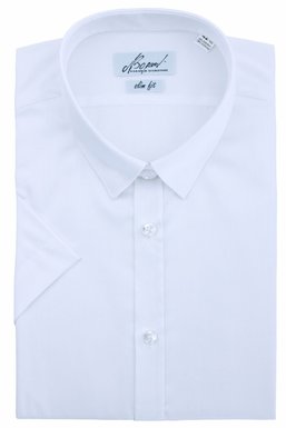 Рубашка мужская классическая VK-388K/S (белый), 40, (182-188) L