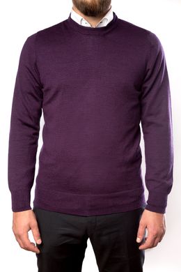 Джемпер чоловічий, т/фіолетовий (2486), XL (54)