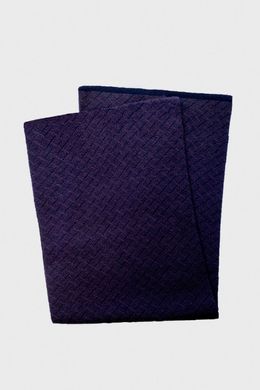 Шарф чоловічий, 18020/470, фіолетовий