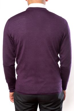 Джемпер мужской, т / фиолетовый (2486), S (48)