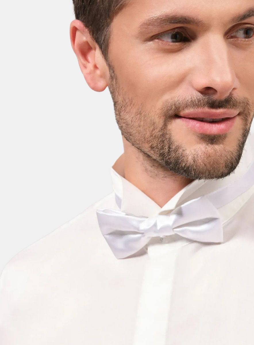 Рубашка мужская классическая VK-201 SLIM FIT (кремовый), 37, (170-176) S