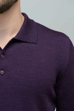 Джемпер мужской, т / фиолетовый (2227), XL (54)